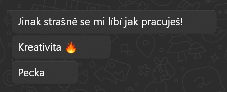 Reference — doporučení 2