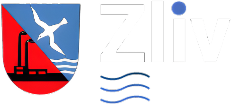 Zliv